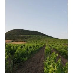 Acheter ⭐ Mas Amiel Carerades, 2012 - Côtes-du-Roussillon-Villages AOP - Rouge - 75 cl 🎉 6 Acheter ⭐ Mas Amiel Carerades, 2012 - Côtes-du-Roussillon-Villages AOP - Rouge - 75 cl 🎉 -VINS ROUGES Boutique 3281540014116 5