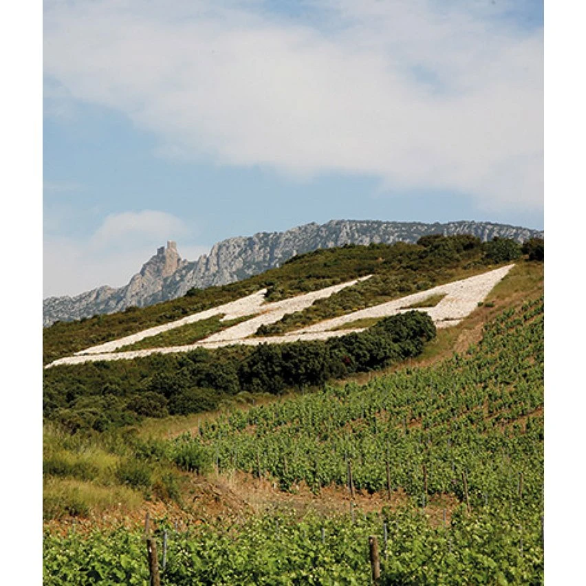 Mas Amiel Carerades, 2012 - Côtes-du-Roussillon-Villages AOP - Rouge - 75 cl Acheter ⭐ Mas Amiel Carerades, 2012 - Côtes-du-Roussillon-Villages AOP - Rouge - 75 cl 🎉 -VINS ROUGES Boutique 3281540014116 6