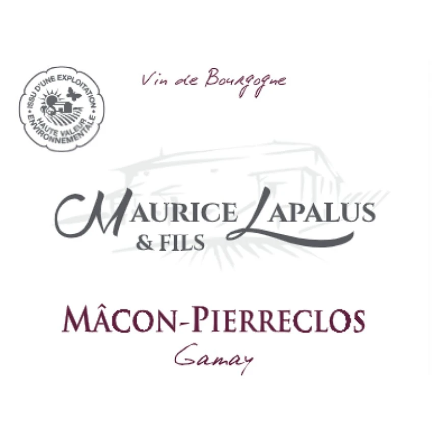 Maurice Lapalus & Fils, 2021 - Mâcon Pierreclos AOP - Rouge - 75 cl De gros 🎉 Maurice Lapalus & Fils, 2021 - Mâcon Pierreclos AOP - Rouge - 75 cl ❤️ -VINS ROUGES Boutique 3379810087271 3