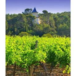 Bon marché 👍 Mouline de Ciffre Altiniac Grande Cuvée, 2018 - Faugères AOP - Rouge - 75 cl 👍 -VINS ROUGES Boutique 3454781519652 3