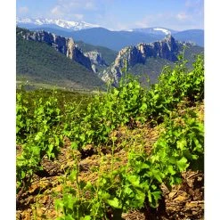 Bon marché 👍 Mouline de Ciffre Altiniac Grande Cuvée, 2018 - Faugères AOP - Rouge - 75 cl 👍 -VINS ROUGES Boutique 3454781519652 5