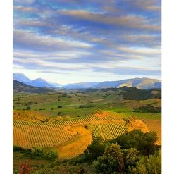 Bon marché 👍 Mouline de Ciffre Altiniac Grande Cuvée, 2018 - Faugères AOP - Rouge - 75 cl 👍 -VINS ROUGES Boutique 3454781519652 6