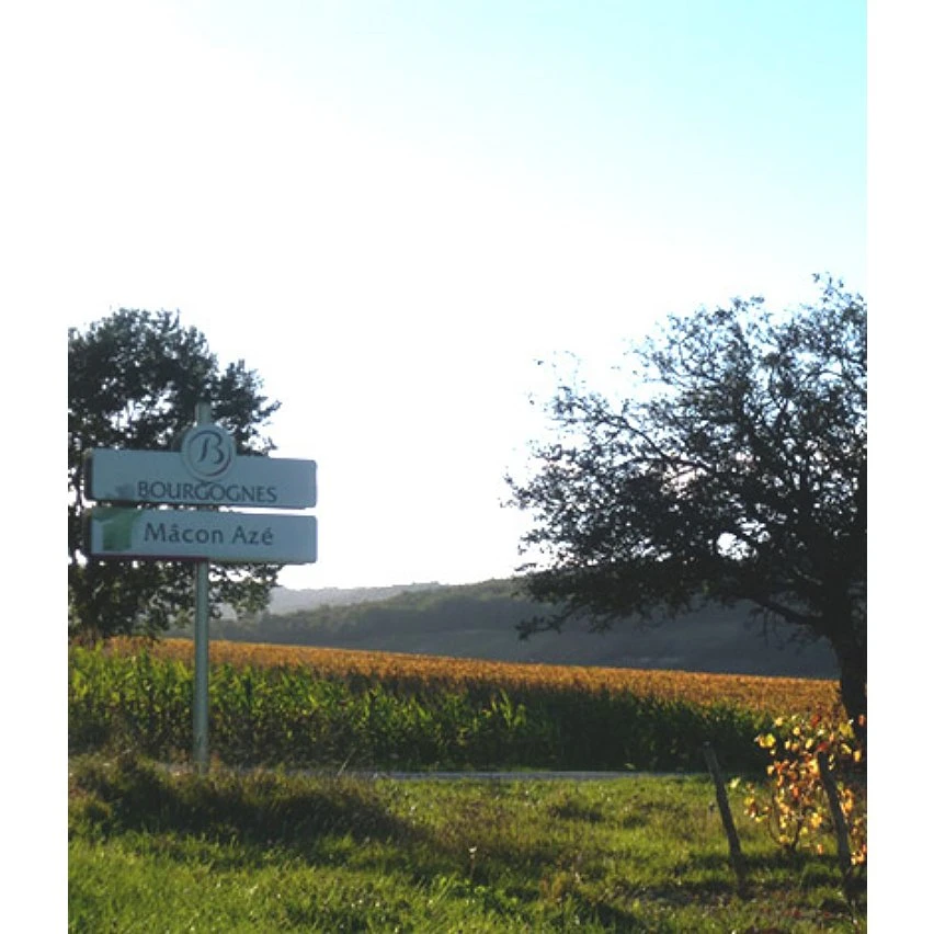 Baronne de Saint-Jean, 2021 - Mâcon-Azé AOP - Rouge - 75 cl De gros 🤩 Baronne de Saint-Jean, 2021 - Mâcon-Azé AOP - Rouge - 75 cl 🤩 -VINS ROUGES Boutique 3700271980199 5