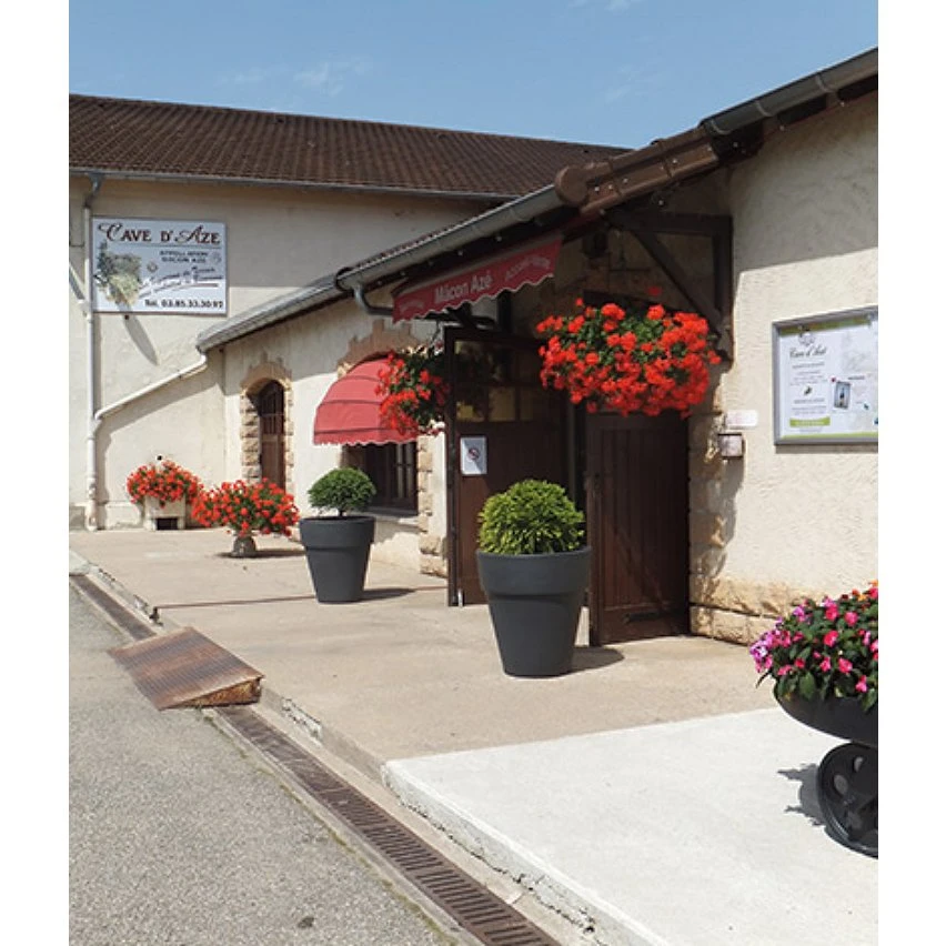 Baronne de Saint-Jean, 2021 - Mâcon-Azé AOP - Rouge - 75 cl De gros 🤩 Baronne de Saint-Jean, 2021 - Mâcon-Azé AOP - Rouge - 75 cl 🤩 -VINS ROUGES Boutique 3700271980199 6