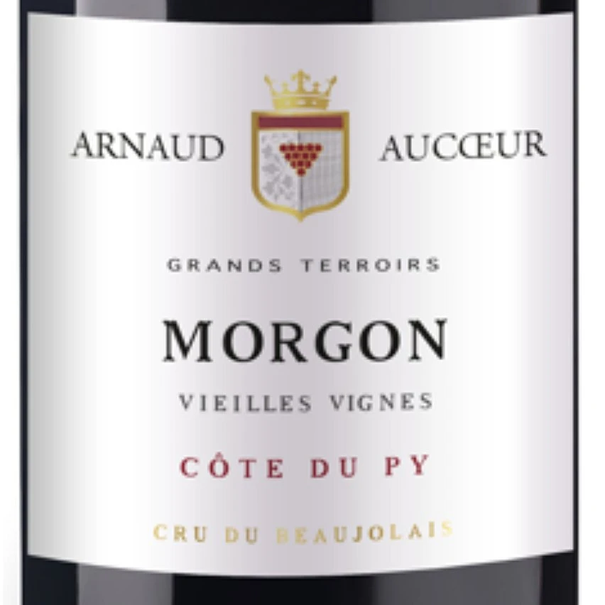 Arnaud Aucoeur Vieilles Vignes, 2021 - Morgon AOP - Rouge - 75 cl Grosses soldes 👏 Arnaud Aucoeur Vieilles Vignes, 2021 - Morgon AOP - Rouge - 75 cl ✔️ -VINS ROUGES Boutique 3760014282539 2