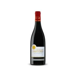 Bon marché 🌟 Domaine d'Antonin , 2020 - Côtes du Rhône Villages Laudun AOP - Rouge - 75 cl 😍