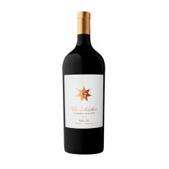 Les meilleures critiques de 🎁 Magnum Clos de los Siete - By Michel Rolland, 2019 - Argentine - Rouge - 1.5 L 👏