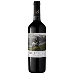 Meilleur prix 🎁 Paisajes de los Andes, 2021 - Valle Central DO, CHILI - Rouge - 75 cl ✨